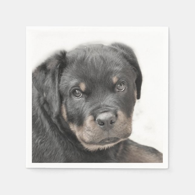 Serviette En Papier Chien Rottweiler (Devant)