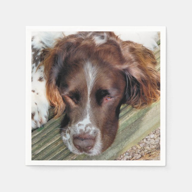 SERVIETTE EN PAPIER CHIENS (Devant)