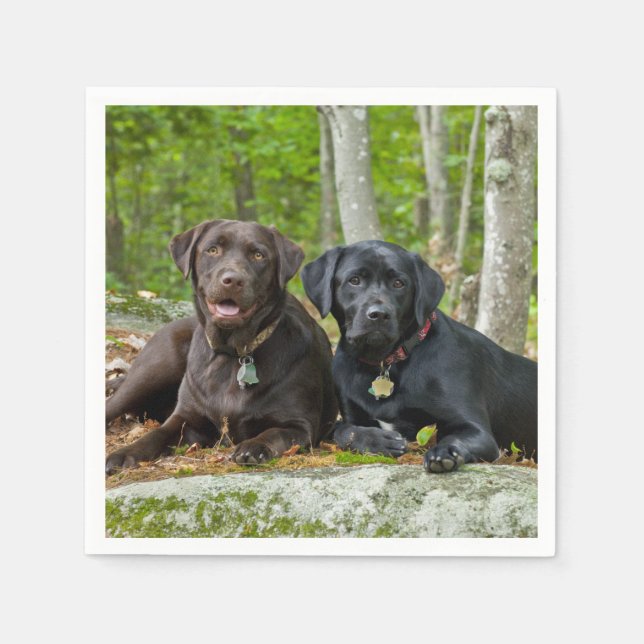 Serviette En Papier Chiens Chiens Marionnettes Black Lab Chocolat Labr (Devant)