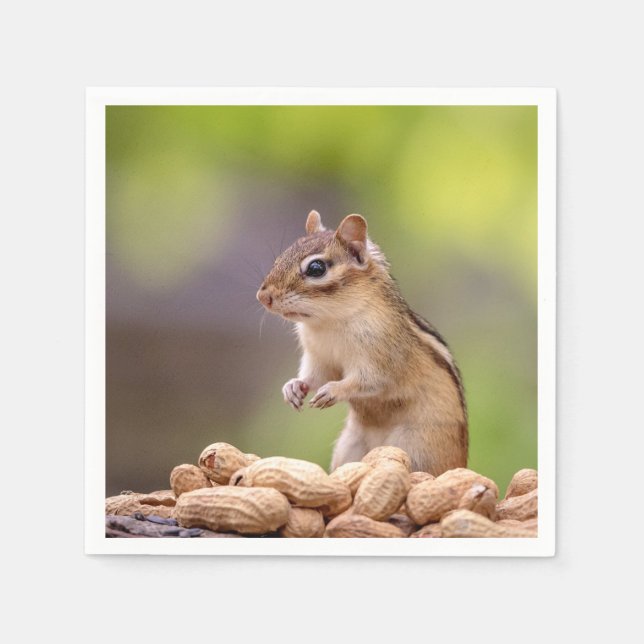 Serviette En Papier Chipmunk aux cacahuètes (Devant)