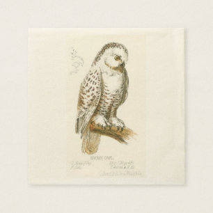 Serviette En Papier Chouette des neiges