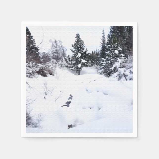 Serviette En Papier Christmas Napkins (Devant)