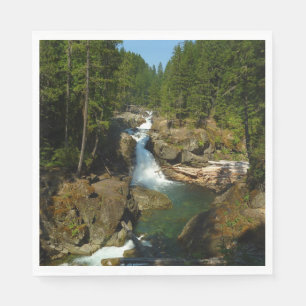 Serviette En Papier Chutes d'argent au parc national du mont Rainier