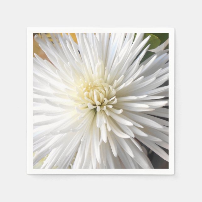 Serviette En Papier Claricia (Devant)