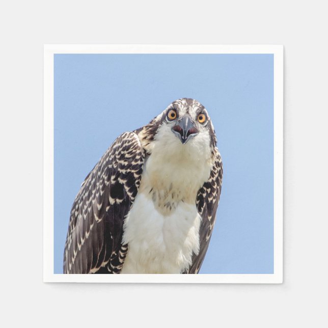 Serviette En Papier Closeup d'un balbuzard juvénile (Devant)