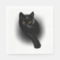Clous de dépôt de chats noirs
