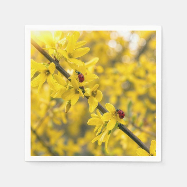 Serviette En Papier Coccinelles sur branche de Forsythia jaune (Devant)