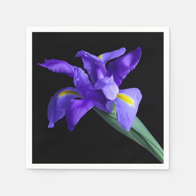 Serviette En Papier Cocktail Iris violet Napkin (Devant)
