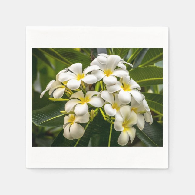 Serviette En Papier Cocktail Napkin sur l'île exotique de Plumeria (Devant)