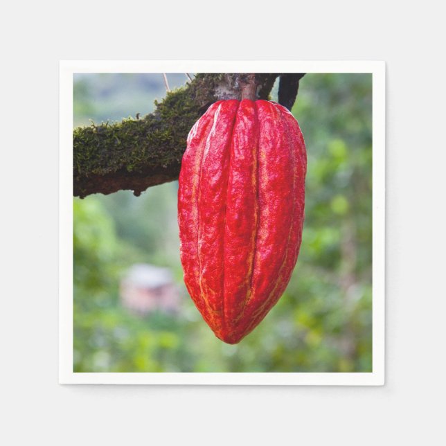 Serviette En Papier cocod (Devant)