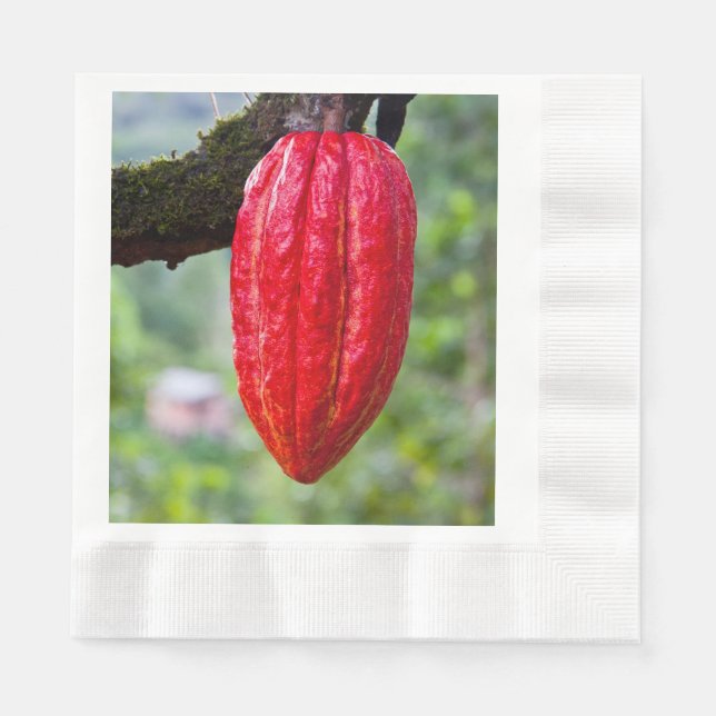 Serviette En Papier cocod (Devant)