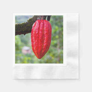 Serviette En Papier cocod