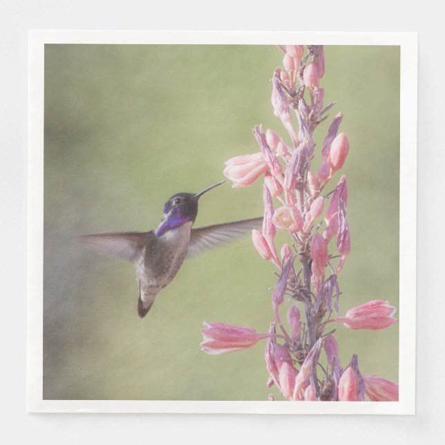 Serviette En Papier Colibri de Charme Costa (Devant)