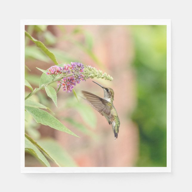 Serviette En Papier Colibri sur un plante à fleurs (Devant)