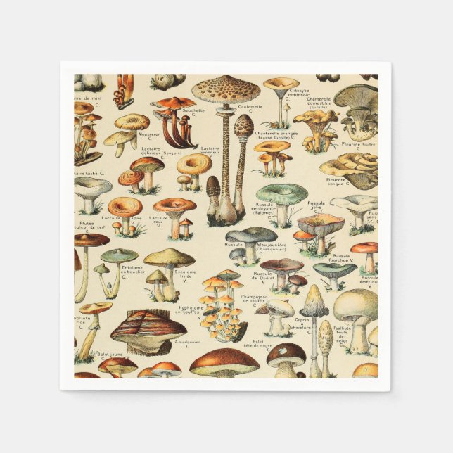 Serviette En Papier Collection de champignons (Devant)