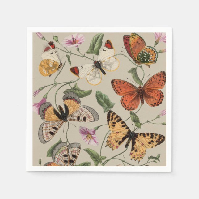 Serviette En Papier Collection de la papillon Moth Nature Dessin (Devant)