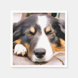 SERVIETTE EN PAPIER COLLIE FRONTALIÈRE