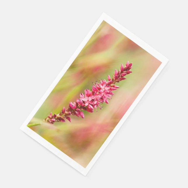 Serviette En Papier coloris (Coin)