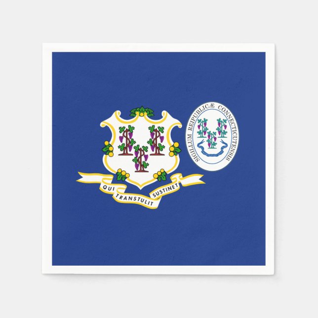 Serviette En Papier Connecticuter Flag & Seal, Connecticut (Devant)