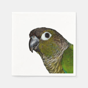Serviette En Papier Conure verte à mâcher