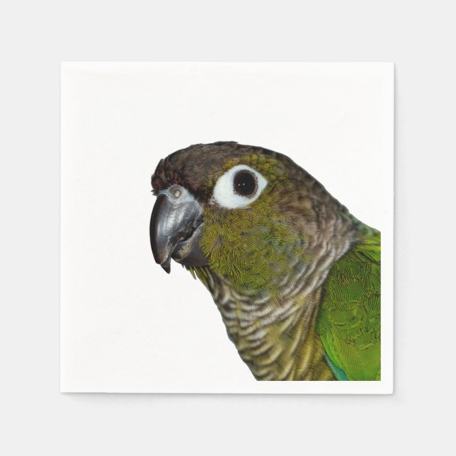 Serviette En Papier Conure verte à mâcher (Devant)