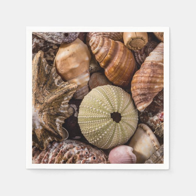Serviette En Papier Coquilles de mer mixtes Cocktail serviettes (Devant)
