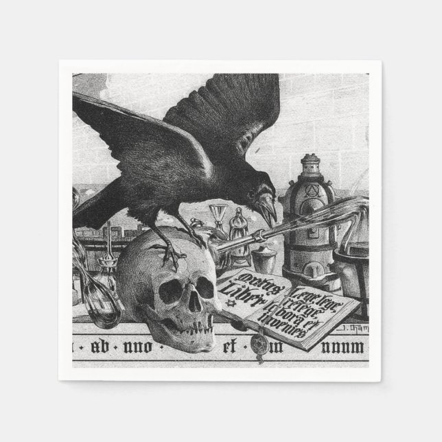 Serviette En Papier Corbeau et crâne humain (Devant)