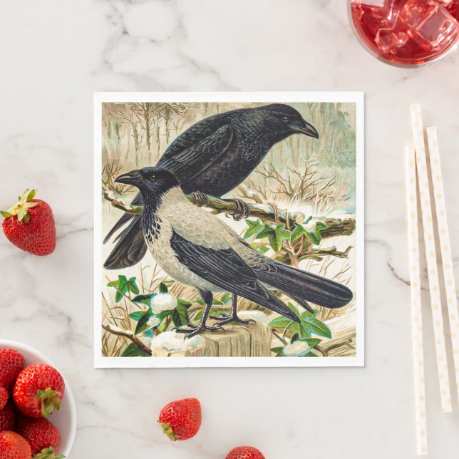 Serviette En Papier Corvids - Blackbird Raven (En situation)