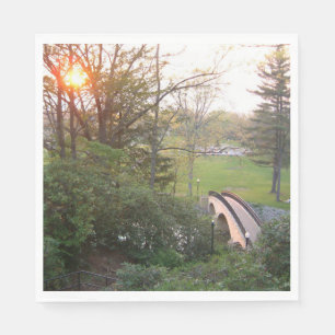 Serviette En Papier Coucher de soleil sur Rainbow Bridge à Grove City