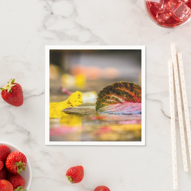 Serviette En Papier Couleurs d'automne (En situation)