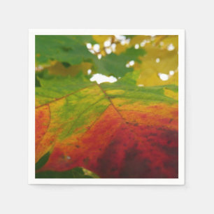 Serviette En Papier Couleurs de la feuille d'érable Automne Photograph