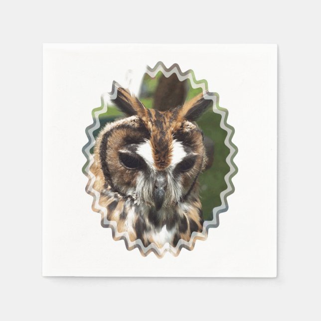 SERVIETTE EN PAPIER COUPER OWL (Devant)