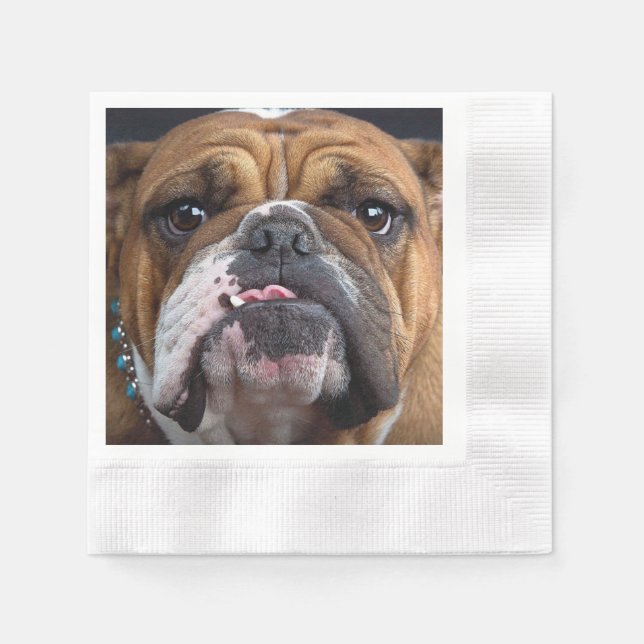 Serviette En Papier Coussin de jet de Bouledogue Anglais (Devant)