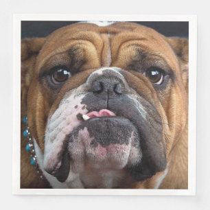 Serviette En Papier Coussin de jet de Bouledogue Anglais