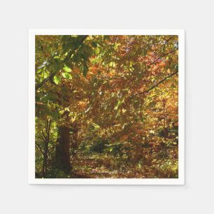Serviette En Papier Couvert de feuilles d'automne II Photographie d'au