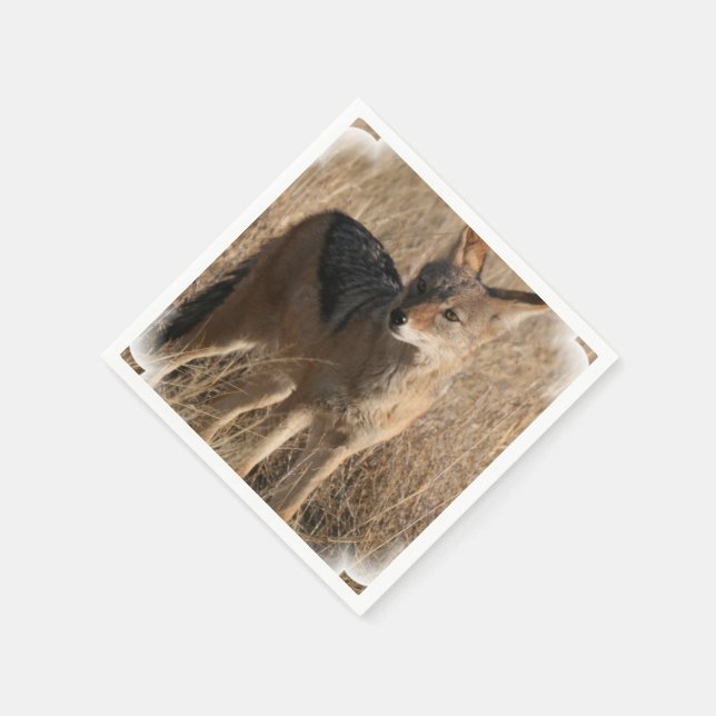 Serviette En Papier Coyote (Coin)