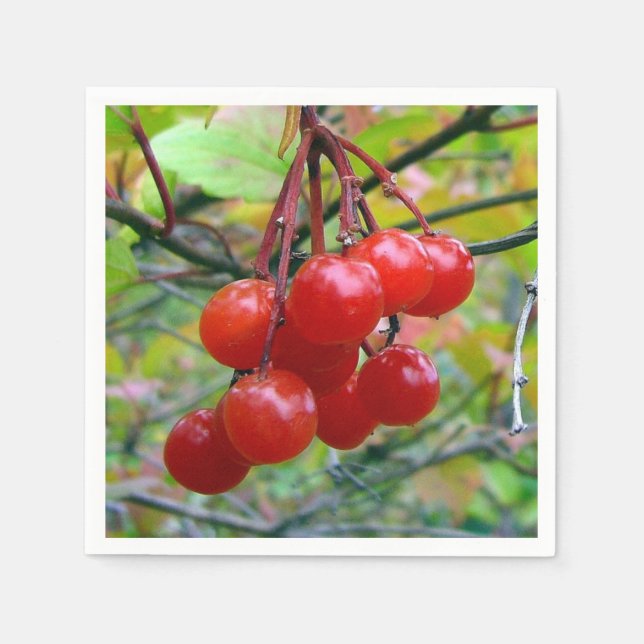 Serviette En Papier Cranberry (Devant)