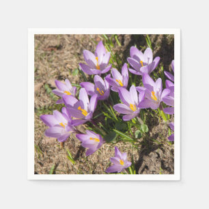 Serviette En Papier Crocus de printemps mignons