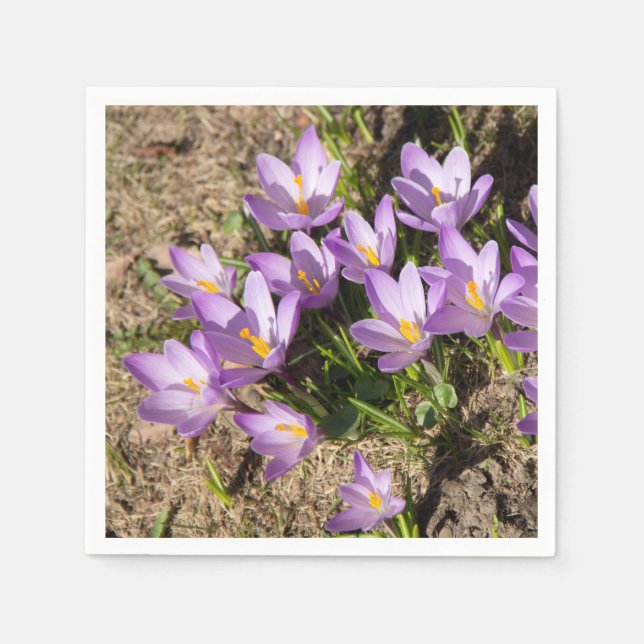 Serviette En Papier Crocus de printemps mignons (Devant)