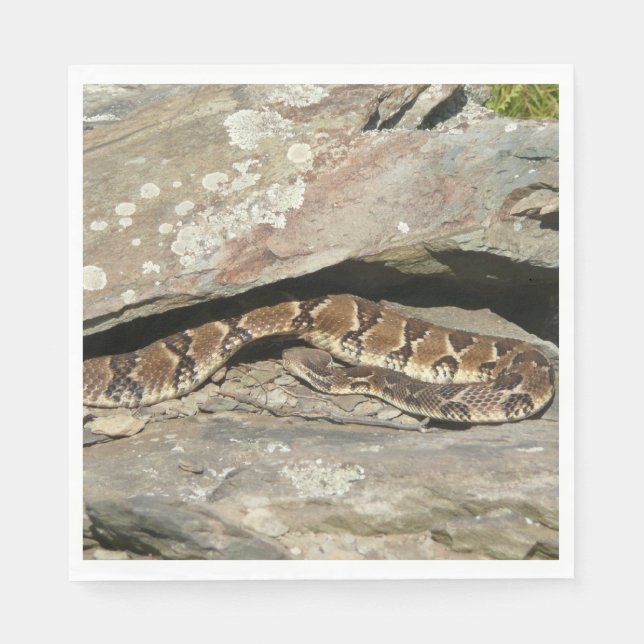 Serviette En Papier Crotale à Shenandoah National Park (Devant)