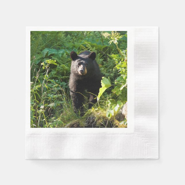 Serviette En Papier Curieux ours noir (Devant)