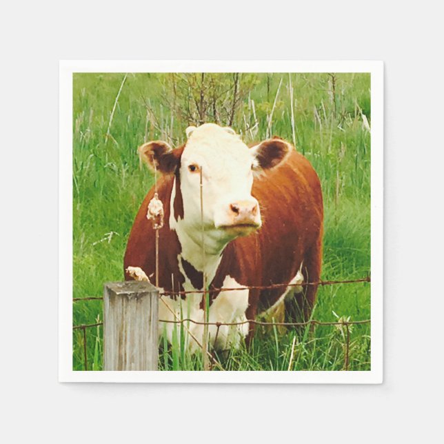 Serviette En Papier Curious Cow 4Ricky (Devant)