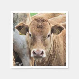 SERVIETTE EN PAPIER CUT CALF