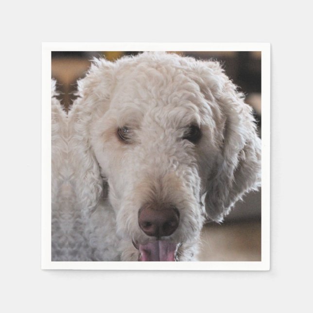 Serviette En Papier Cute (Devant)