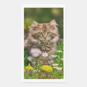 Serviette En Papier Cute Fluffy Maine Coon Kitten Chat Animal Photo //