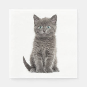 Serviette En Papier Cute Gris Kitten Gris Kitty Cat Party Napkins