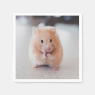 Serviette En Papier Cute Hamster Aimer Animaux