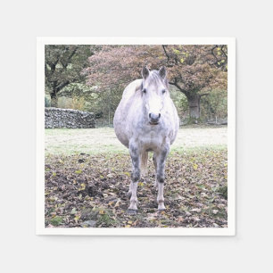 SERVIETTE EN PAPIER CUTE HORSE
