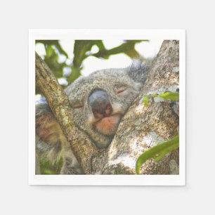 Serviette En Papier Cute Koala Bear Napkins