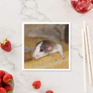 Serviette En Papier Cute rat